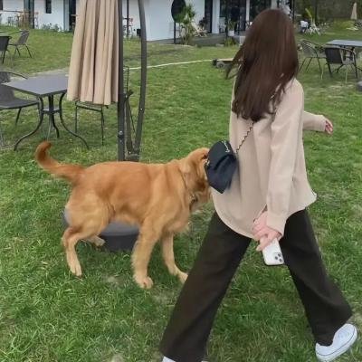 真实的勇气